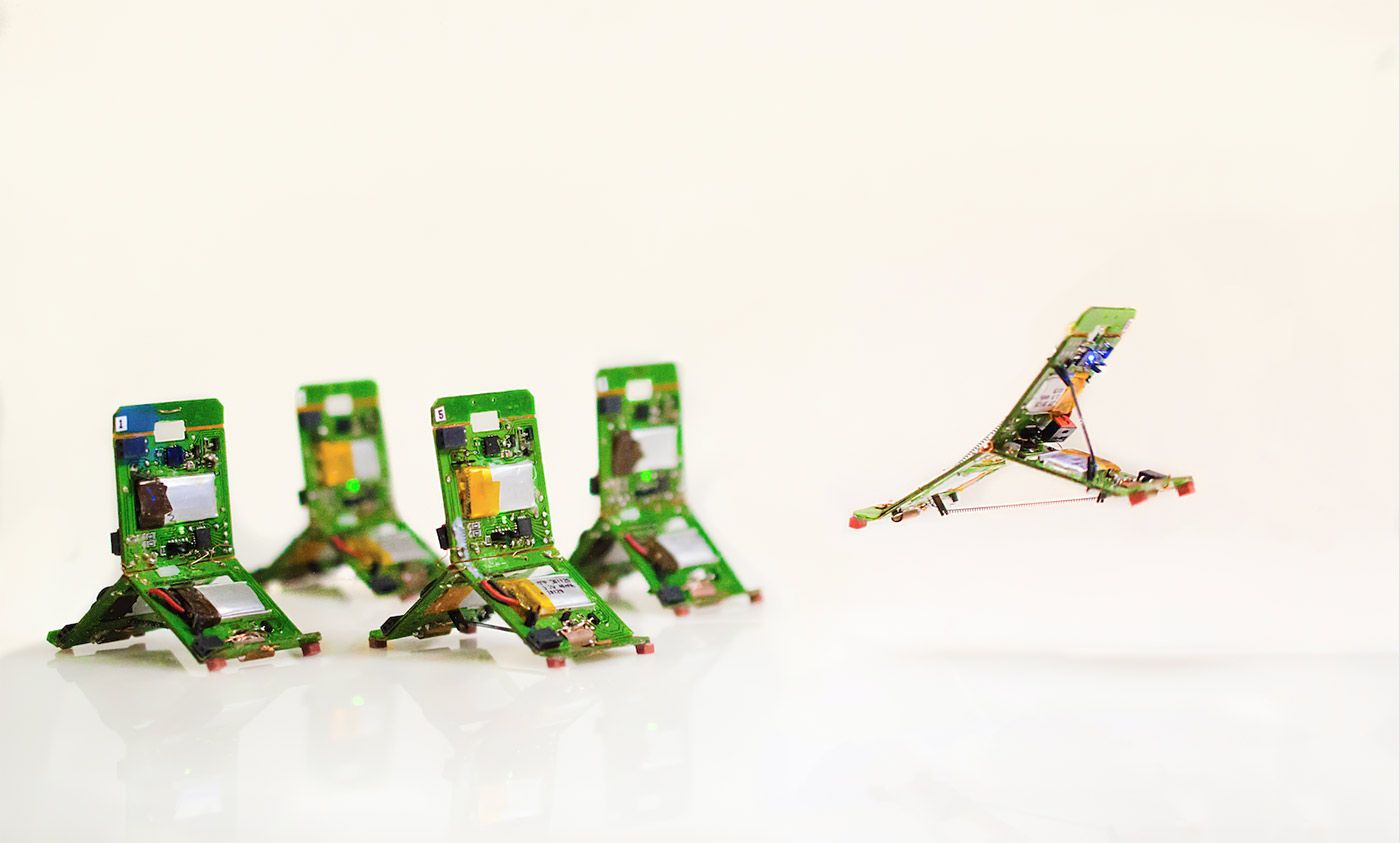 Robogamis are the real heirs of terminators and transformers | Aeon