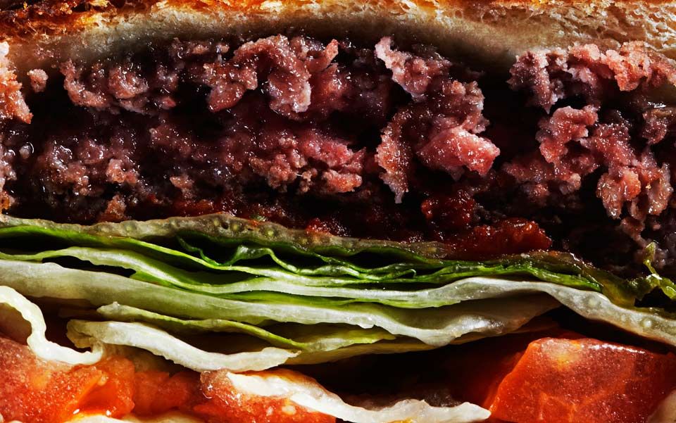 Carnivore vs vegetarianism essay