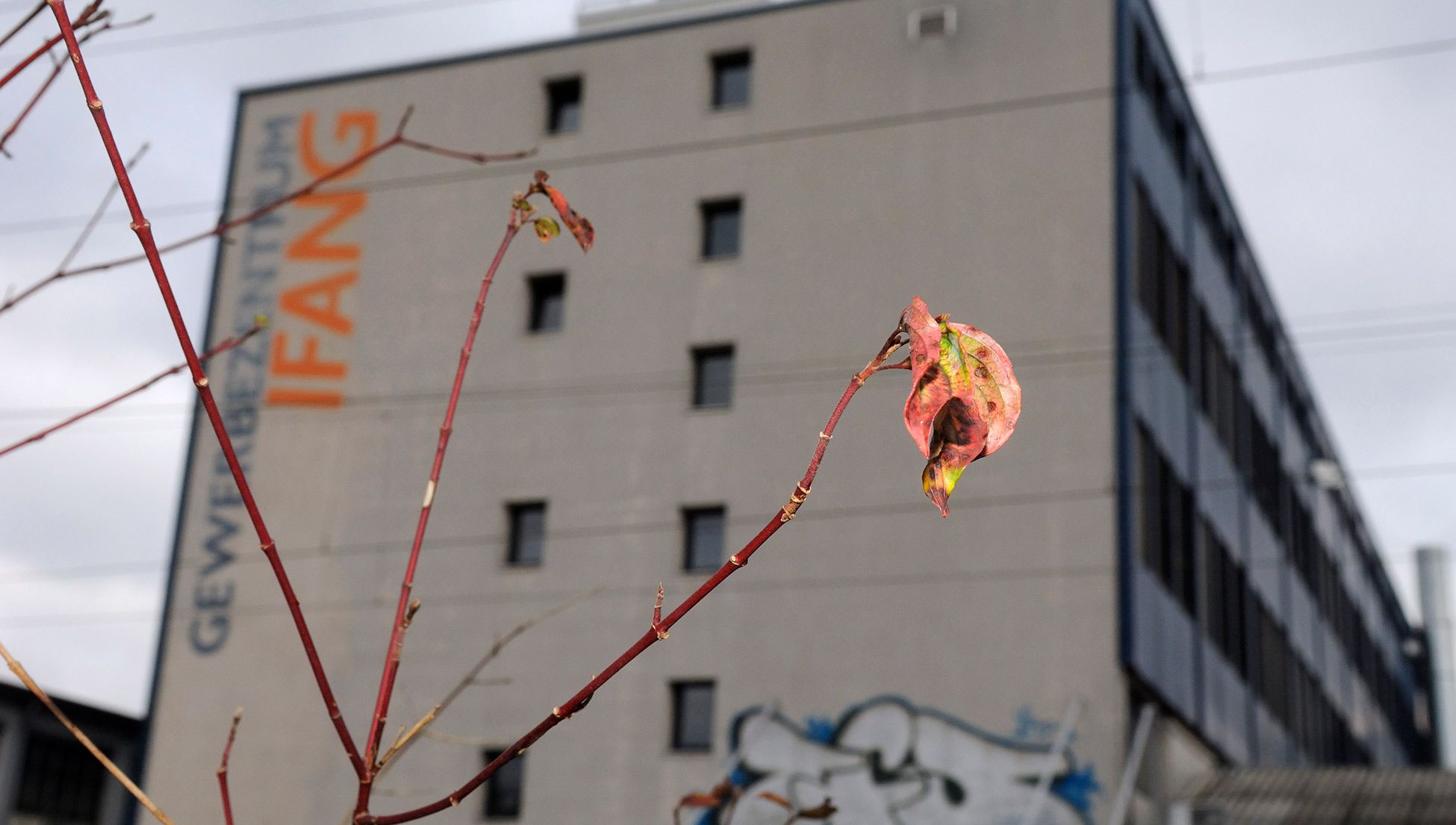 Should assisted death be available for intractable mental illness? | Psyche