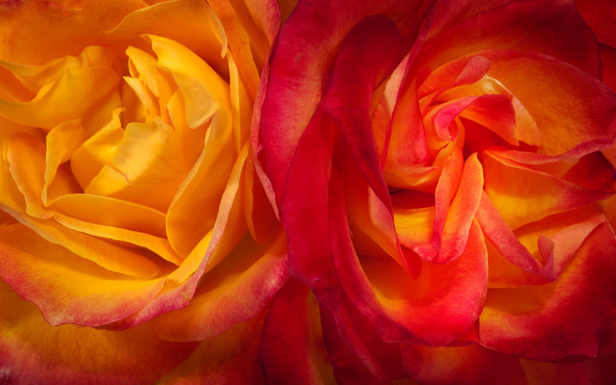 The open mind | Aeon