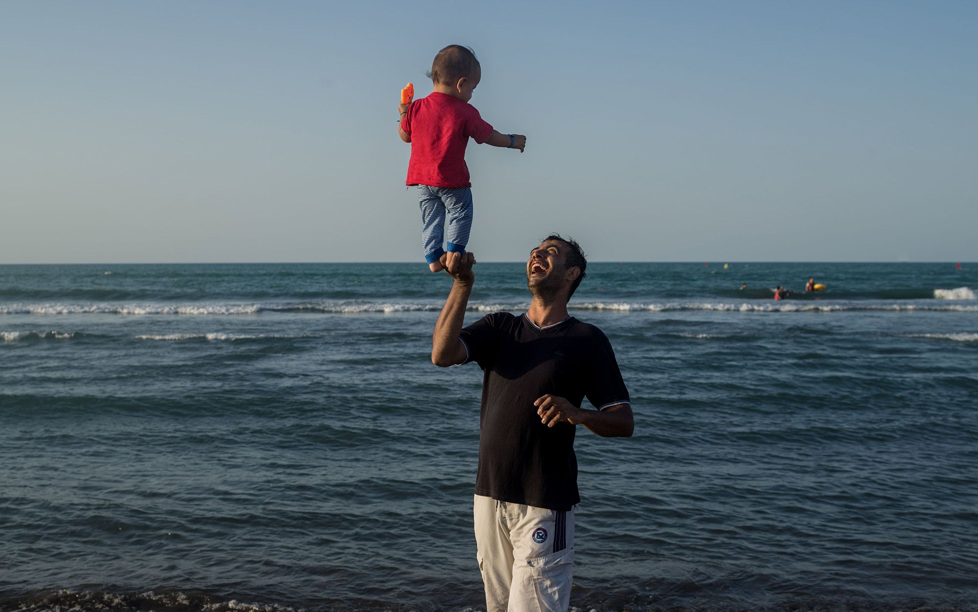 Chimpanzee diet picture