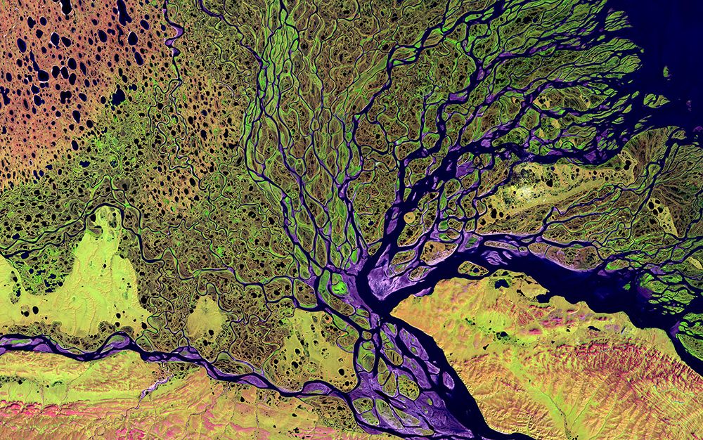 Human evolution is more a muddy delta than a branching tree | Aeon