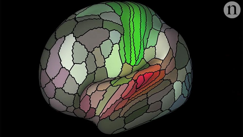 Brain mapping. Ultimate Brain Map. Human Brain Mapping. Brain Maps старый. Human Brain Map.